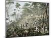 Felling of a Forest, Brazil-Johann Moritz Rugendas-Mounted Giclee Print