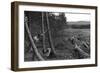 Felling Trees-null-Framed Photographic Print