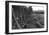 Felling Trees-null-Framed Photographic Print