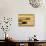 Felsenkamer-Paul Klee-Giclee Print displayed on a wall