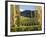 Felton Road Vineyard, Bannockburn, South Island, New Zealand-David Wall-Framed Photographic Print