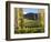 Felton Road Vineyard, Bannockburn, South Island, New Zealand-David Wall-Framed Photographic Print