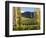 Felton Road Vineyard, Bannockburn, South Island, New Zealand-David Wall-Framed Photographic Print