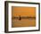 Felucca on River Nile, Luxor, Egypt-Jon Arnold-Framed Photographic Print