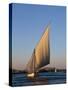 Felucca on the Nile at Aswan, Egypt, North Africa, Africa-Harding Robert-Stretched Canvas