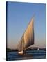 Felucca on the Nile at Aswan, Egypt, North Africa, Africa-Harding Robert-Stretched Canvas