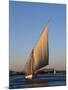 Felucca on the Nile at Aswan, Egypt, North Africa, Africa-Harding Robert-Mounted Photographic Print
