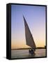 Felucca on the Nile, Luxor, Egypt-Steve Vidler-Framed Stretched Canvas