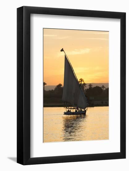 Felucca on the Nile River, Luxor, Egypt, North Africa, Africa-Richard Maschmeyer-Framed Photographic Print