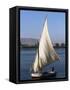 Felucca on the River Nile, Egypt, North Africa, Africa-Guy Thouvenin-Framed Stretched Canvas