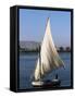 Felucca on the River Nile, Egypt, North Africa, Africa-Guy Thouvenin-Framed Stretched Canvas