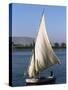 Felucca on the River Nile, Egypt, North Africa, Africa-Guy Thouvenin-Stretched Canvas