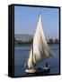 Felucca on the River Nile, Egypt, North Africa, Africa-Guy Thouvenin-Framed Stretched Canvas