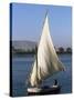 Felucca on the River Nile, Egypt, North Africa, Africa-Guy Thouvenin-Stretched Canvas