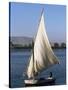 Felucca on the River Nile, Egypt, North Africa, Africa-Guy Thouvenin-Stretched Canvas