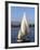 Felucca on the River Nile, Egypt, North Africa, Africa-Guy Thouvenin-Framed Photographic Print