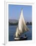 Felucca on the River Nile, Egypt, North Africa, Africa-Guy Thouvenin-Framed Photographic Print