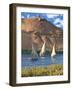 Felucca Sailboats, Temple Ruins and the Large Sand Dunes of the Sahara Desert, Aswan, Egypt-Miva Stock-Framed Photographic Print