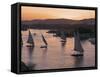 Feluccas on the River Nile, Aswan, Egypt, North Africa, Africa-Tuul-Framed Stretched Canvas