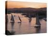 Feluccas on the River Nile, Aswan, Egypt, North Africa, Africa-Tuul-Stretched Canvas