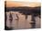 Feluccas on the River Nile, Aswan, Egypt, North Africa, Africa-Tuul-Stretched Canvas