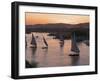 Feluccas on the River Nile, Aswan, Egypt, North Africa, Africa-Tuul-Framed Photographic Print