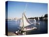 Feluccas on the River Nile, Aswan, Egypt, North Africa, Africa-Philip Craven-Stretched Canvas