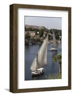 Feluccas Sailing on the River Nile, Aswan, Egypt, North Africa, Africa-Richard Maschmeyer-Framed Photographic Print