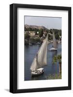 Feluccas Sailing on the River Nile, Aswan, Egypt, North Africa, Africa-Richard Maschmeyer-Framed Photographic Print