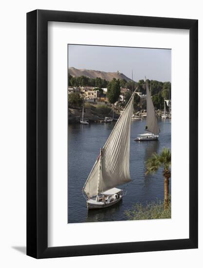 Feluccas Sailing on the River Nile, Aswan, Egypt, North Africa, Africa-Richard Maschmeyer-Framed Photographic Print