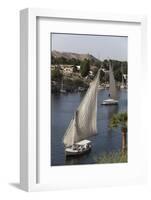 Feluccas Sailing on the River Nile, Aswan, Egypt, North Africa, Africa-Richard Maschmeyer-Framed Photographic Print