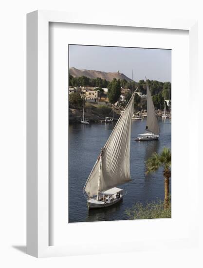 Feluccas Sailing on the River Nile, Aswan, Egypt, North Africa, Africa-Richard Maschmeyer-Framed Photographic Print