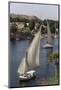 Feluccas Sailing on the River Nile, Aswan, Egypt, North Africa, Africa-Richard Maschmeyer-Mounted Photographic Print