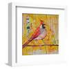 Femail Cardinal-null-Framed Art Print