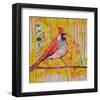 Femail Cardinal-null-Framed Art Print