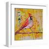 Femail Cardinal-null-Framed Art Print