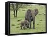 Female African Elephant with baby, Serengeti National Park, Tanzania-Adam Jones-Framed Stretched Canvas
