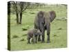 Female African Elephant with baby, Serengeti National Park, Tanzania-Adam Jones-Stretched Canvas