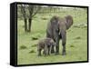 Female African Elephant with baby, Serengeti National Park, Tanzania-Adam Jones-Framed Stretched Canvas