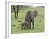 Female African Elephant with baby, Serengeti National Park, Tanzania-Adam Jones-Framed Photographic Print