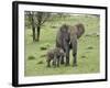 Female African Elephant with baby, Serengeti National Park, Tanzania-Adam Jones-Framed Photographic Print