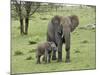 Female African Elephant with baby, Serengeti National Park, Tanzania-Adam Jones-Mounted Photographic Print
