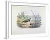 Female and Male Lapwing-Edouard Travies-Framed Giclee Print