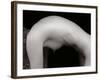 Female Arch-Edoardo Pasero-Framed Photographic Print