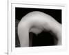 Female Arch-Edoardo Pasero-Framed Photographic Print