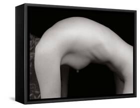 Female Arch-Edoardo Pasero-Framed Stretched Canvas