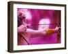 Female Archer Taking Aim-null-Framed Photographic Print