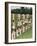 Female Athletes Perform a Routine to Publicise the 1932 Los Angeles Olympics-null-Framed Photographic Print