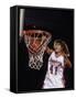 Female Basketball Player Dunking a Ball Through the Hoop-null-Framed Stretched Canvas