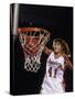 Female Basketball Player Dunking a Ball Through the Hoop-null-Stretched Canvas